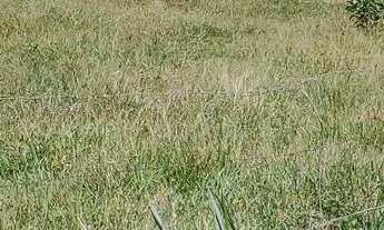 Imagem 2: Vendo Chácara com venda por R$400.000