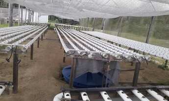 Imagem 3: Terreno novo Airão (agricultura