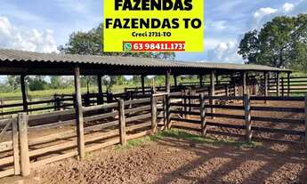 Imagem 2: Fazenda 136 alqueires a 30 km de Araguaina dupla aptidão ...