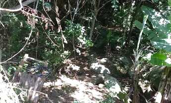 Imagem: Vendo terreno com 2 casas na Praia da Solidão