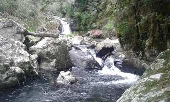 Imagem 7: Vendo Sitio Paradisíaco com 9 hectares em Riozinho/RS