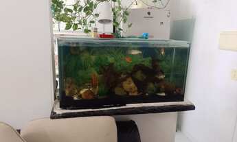 Imagem 3: Passo Apartamento com Infraestrutura