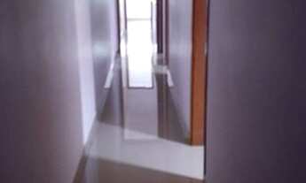 Imagem 6: Cardeal - Elias Fausto - SP