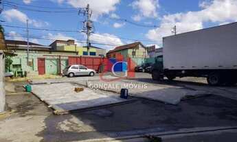 Imagem 7: São Paulo - Terreno Padrão - Vila Nilo