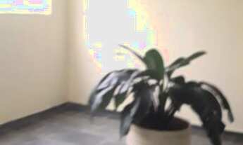 Imagem 5: Apartamento para venda possui 52 metros quadrados com 2 quartos em Jardim Umarizal - São P