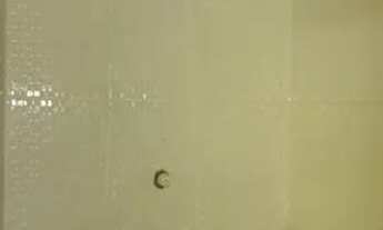 Imagem 5: ALUGO KITINET Casa com 1 dormitório