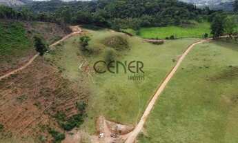 Imagem 2: 2449 - Ótima Fazendinha de 32 HA, limpa formada, em ótimo local com ótimo preço