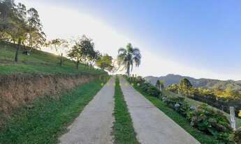 Imagem 7: Campo Largo - 52 Alq, Pra confinamento ou Haras ou Reflorestamento. 700m do asfalto