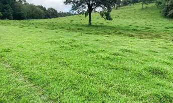 Imagem: LP- Vende-se terrenos próximo a represa