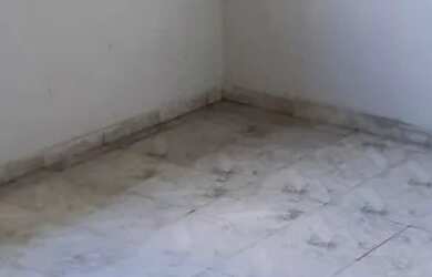 Imagem 5: Alugo uma casa Casa com 2 dormitórios