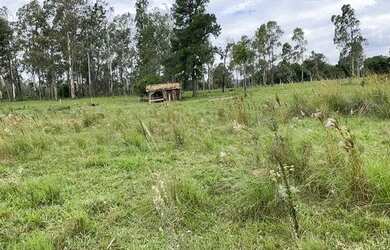 Imagem 3: 115251 SÍTIO EM TAQUARA 22 HECTARES ESCRITURADO, PASTO, RIACHO, VERTENTE