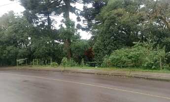 Imagem 5: Terreno à venda em Canela!