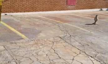 Imagem 6: Imovél comercial para alugar, 317m² - Alto da Boa Vista