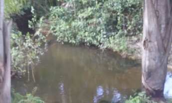 Imagem 5: Fazenda 13.5 alq no Tocantins m Goiatins