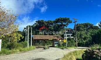 Imagem 3: Lote em Rua 21 - Alpes - São Francisco de Paula/RS