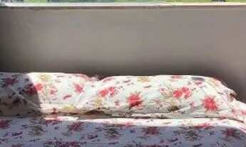 Imagem: Barra Grande/ Ilha Vera Cruz Aluguel temporada