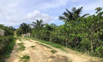 Imagem 2: Sitio no Puraquequara