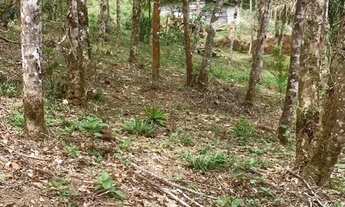 Imagem 3: Lindo Terreno com escritura em Juquitiba com 3.000 metros quadrados