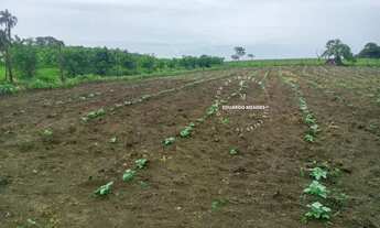 Imagem: Chácara com13.000 m², povoado do Trevo