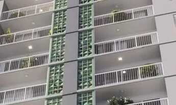 Imagem: Wish Vaca Brava