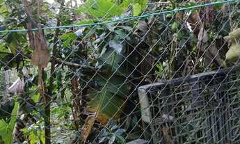 Imagem 5: 10 mil mts nas montanhas com lago 167 mil reais