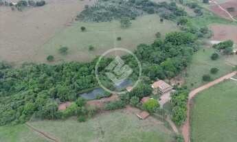 Imagem 2: REF: Office1099 Fazenda em Nerópolis/Ouro verde com 5,6 Alqueires, Goiás. codigo: 23029