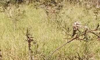 Imagem 2: Chácara a venda no rio dos bois São Miguel pass 4