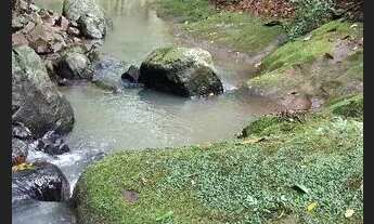 Imagem 3: Sítio valor 129,000,00 com 2 hectares e arroio