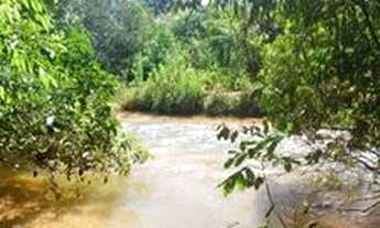 Imagem 2: FAZENDA EM AURORA DO TOCANTINS