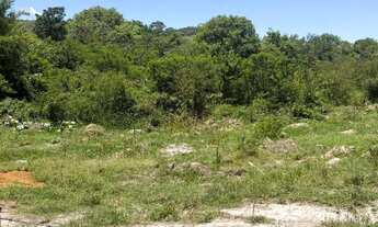 Imagem 4: Vendo terrenos na Mombaça