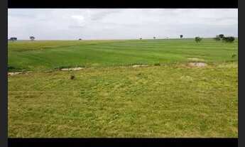 Imagem 4: Fazenda de arrendamento 1.200 hec em Itiquira MT. Grade combinar