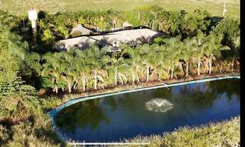 Imagem 2: ALEXANIA -GO FAZENDA COMPLETA 7,5 ALQUEIRES PARA VENDA