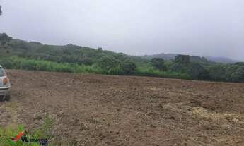 Imagem 4: Chácara á venda no bairro Lagoa dos Ferreiras em Mandirituba - PR