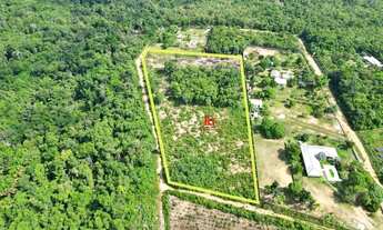 Imagem 2: Terreno com 6.000m² na Avenida Cláudio Mesquita, Tarumã-Açu