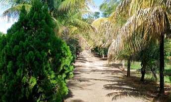 Imagem 7: Vende se sítio Chácara com venda por R$4.000.000