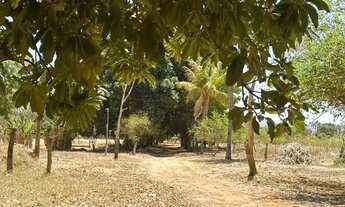Imagem 5: Chácara a venda Núcleo Rural Rajadinha, Planaltina DF