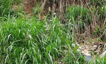 Imagem 2: Apartamento para venda com 140 metros quadrados em Jardim Santa Luzia - Embu das Artes - S