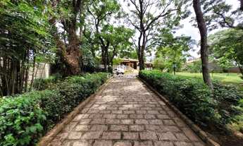 Imagem 4: Chácara para Alugar no Condomínio Terras de Itaici em Indaiatuba/SP