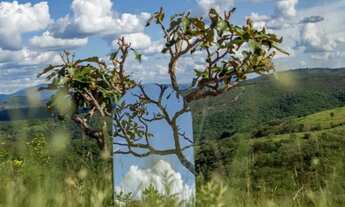 Imagem 7: Terrenos de 20.000m2 em Condomínio Excelente Localização de Lagoa Santa