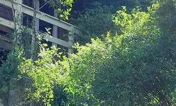 Imagem 5: Terreno em rancho queimado