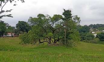 Imagem: Viva com Mais Sossego Terreno no Recanto
