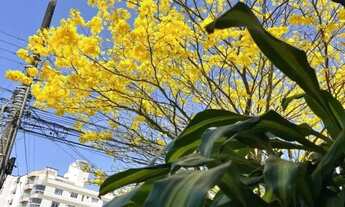 Imagem 2: FG-Imóvel para venda tem 267 metros quadrados com 4 quartos em Canto - Florianópolis - SC
