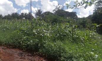 Imagem 2: Chácara em Bonfinópolis