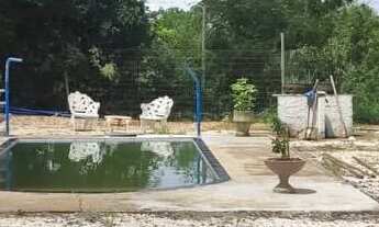 Imagem 4: Excelente chácara