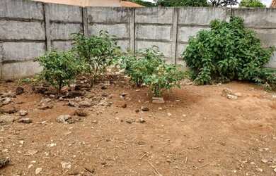 Imagem 4: Vendo/troco terreno em Tupaciguara-MG