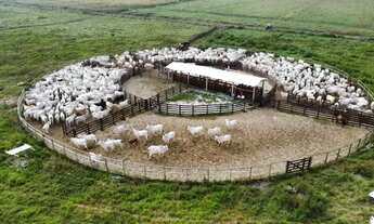 Imagem 6: Fazenda para venda possui 3950000 metros quadrados