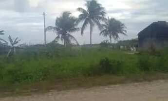 Imagem 3: Vende se terreno povo abóboras