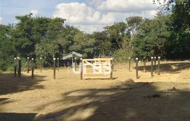 Imagem 2: Chácara de 15.000 m² em Aparecida de Goiânia