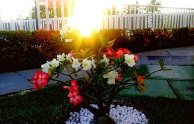 Imagem 6: GRAND VILLE RESIDENCE [26849