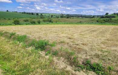 Imagem 4: Sítio de 1 hectar próximo de Holambra